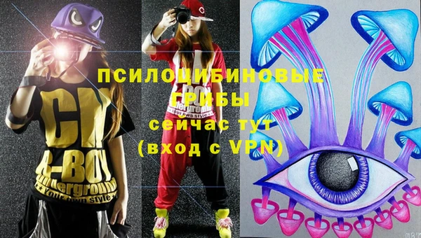 хмурый Куйбышев