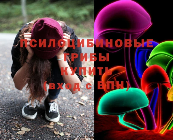 хмурый Куйбышев